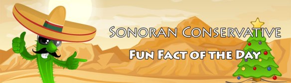 fun_fact_of_the_day_banner_xmas