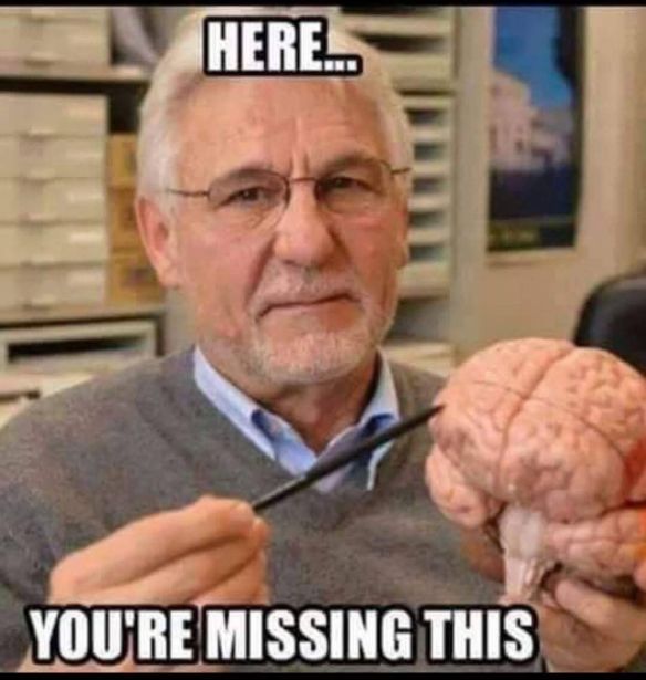 Missing your brain