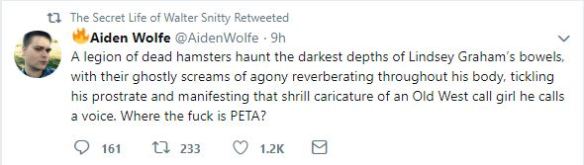 schmalfeldt_retweet_05022019