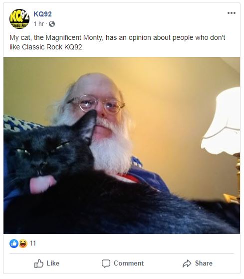 Schmalfeldt_cat_hates_him